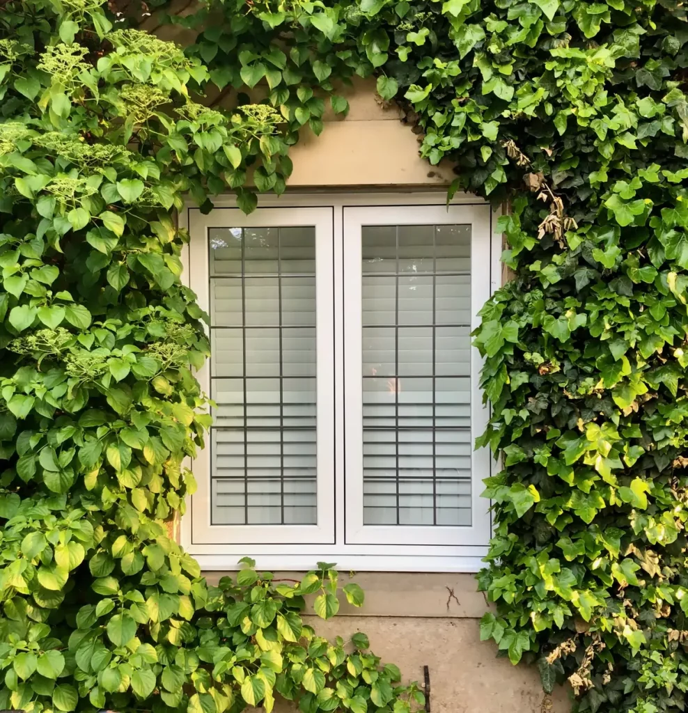 white flush sash window